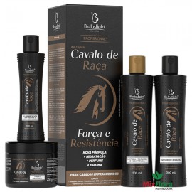 Kit Capilar Profissional CAVALO DE RAA 4 Itens BIO INSTINTO